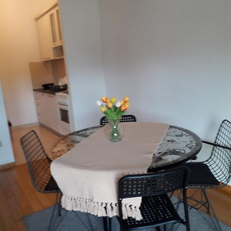 Apartament Garmani Vrnjačka Banja Zewnętrze zdjęcie