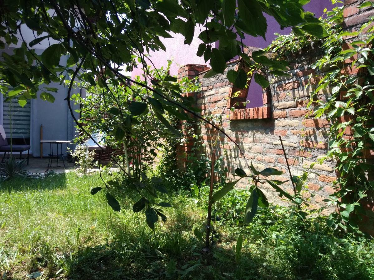Apartament Garmani Vrnjačka Banja Zewnętrze zdjęcie