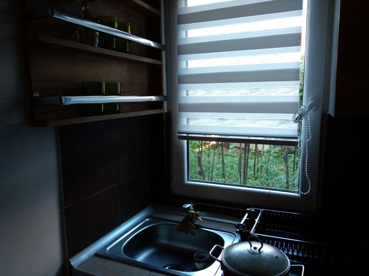 Apartament Garmani Vrnjačka Banja Zewnętrze zdjęcie